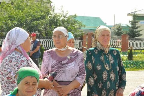 Саба таннары