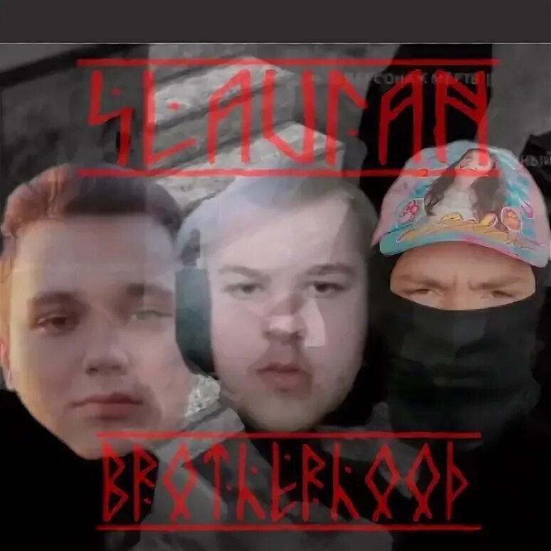 Кто глупее на дереве. Морти я в деле. Ким чен путин. Девушки которые едят какашки. Aimbot gif.