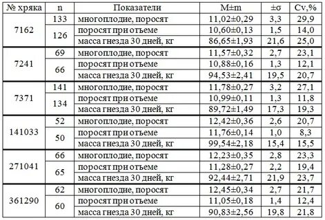 Живая масса поросят при рождении