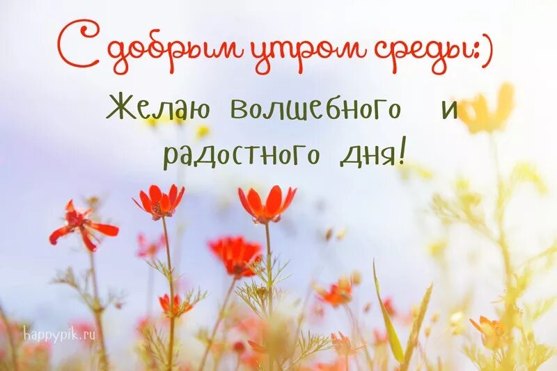 Утро среды картинки. С добрым утром среды. Доброе утро среда. Открытки с добрым утром среды. Пожелания с добрым утром среды.