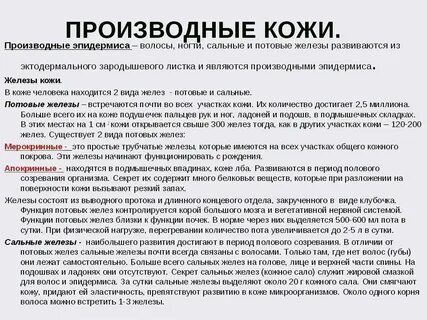 Производные эпидермиса