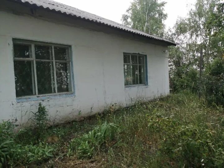 Паново алтайский край. Погода в подстепном ребрихинском районе алтайского. Станция ребриха алтайский край. Подстепное алтайский край. Шумилиха алтайский край.
