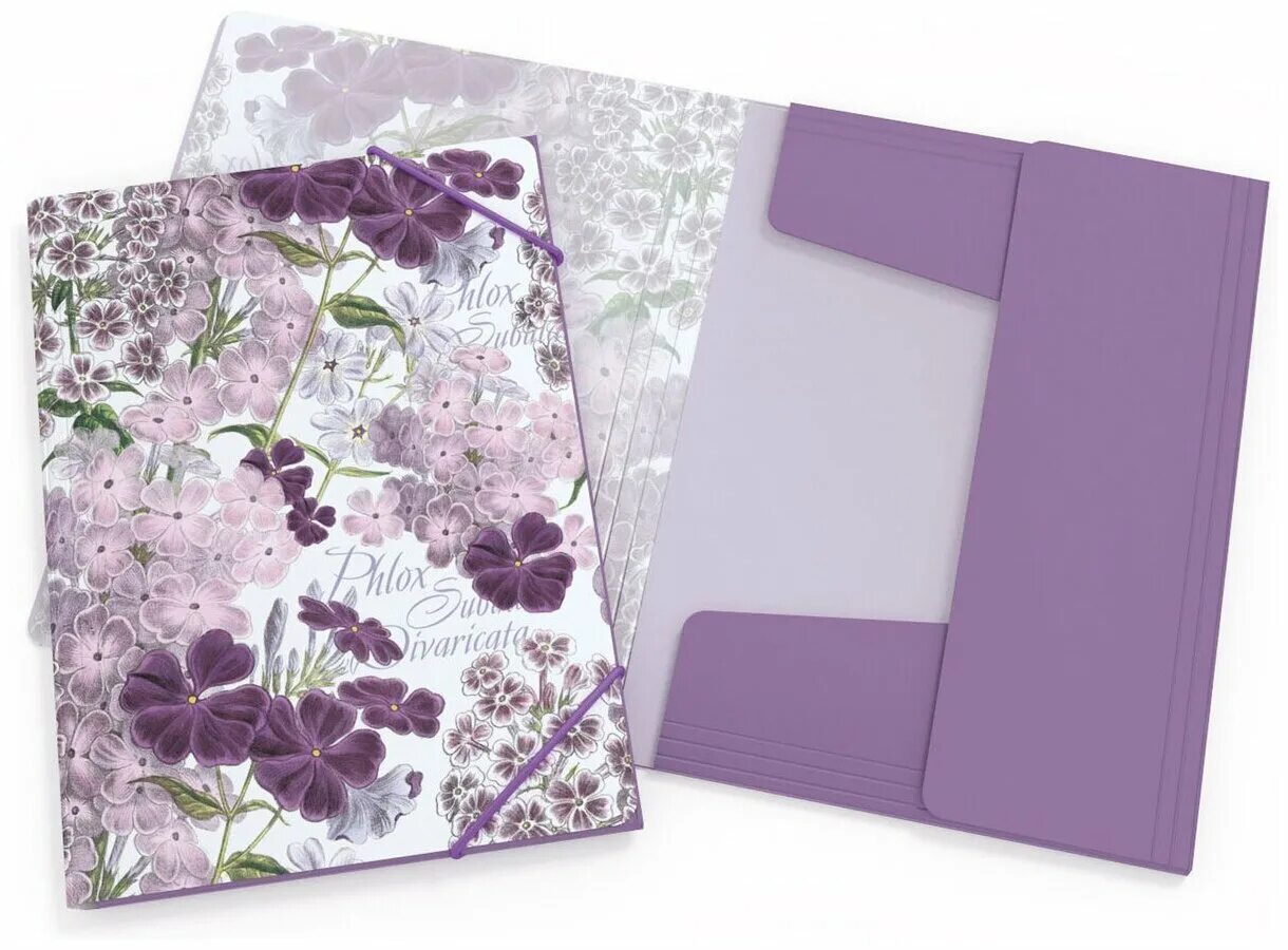 папка под детские документы. Erichkrause папка на резинках mont royal, а4. папка для документов с цветами. папка с разделителями для документов. красивая папка а4.