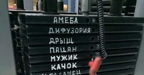 Что такое ты кто