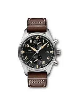 Iwc pilot's