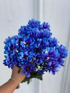 Хризантема минск