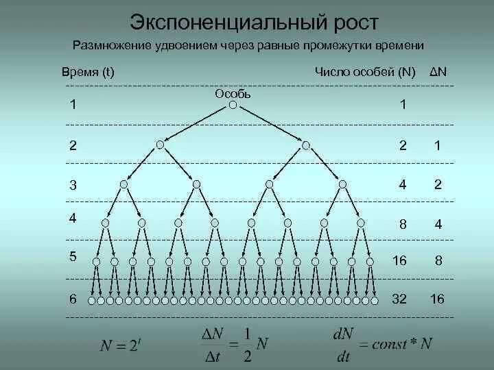 Линейная и экспоненциальная. Экспоненциальный и линейный рос. Функция растет экспоненциально. Экспоненциальная зависимость это в экологии. Линейный и экспоненциальный рост презентация