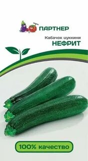 Кабачок нефрит