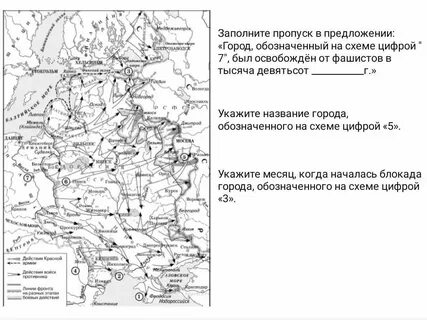 Елей под цифрой 1