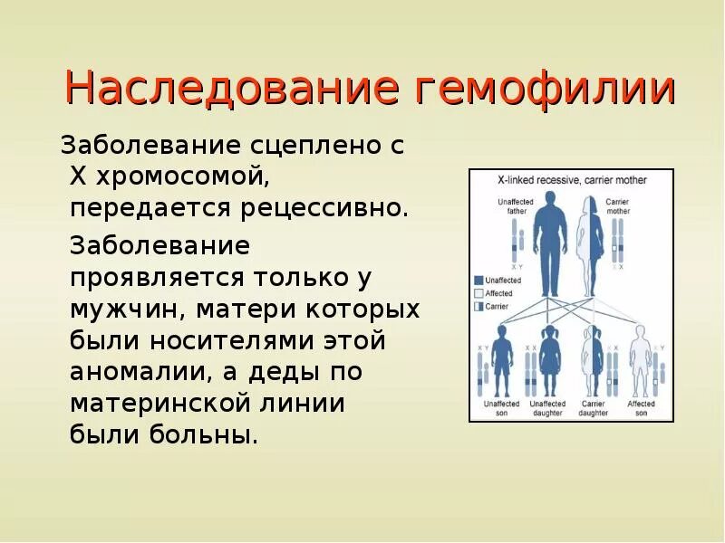 Наследование гемофилии. Гемофилия Тип наследования. Схема наследования гемофилии. Схема передачи гемофилии по наследству. У человека классическая гемофилия