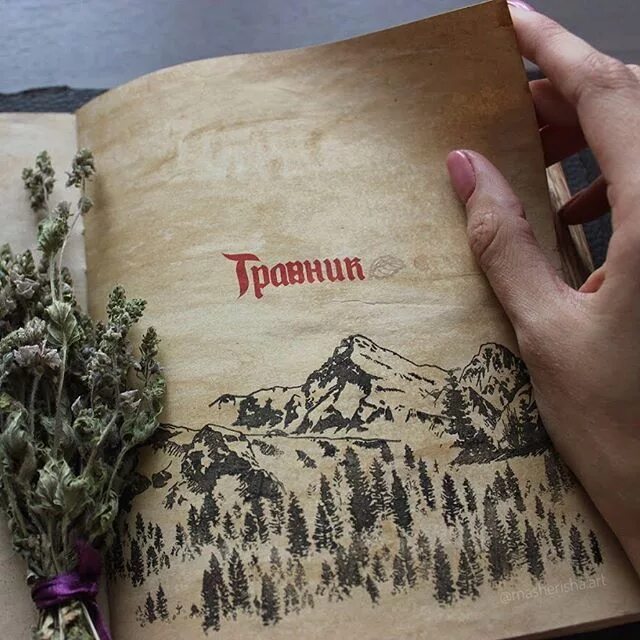 Обложки травников. Ботаническая иллюстрация книга. Обложки травников. Травник оформление обложки. Идеи для обложки травника.