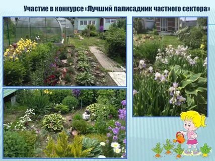 Палисадник это простыми словами