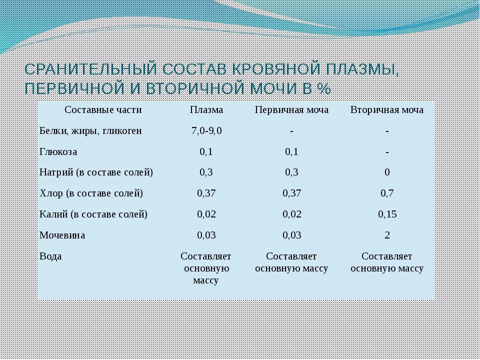 Первичная моча содержит белки. Остав первичной и вторичной мочи.. Состав первичной и вторичной мочи. Сравнительная характеристика первичной и вторичной мочи. Состав первичной и вторичной.