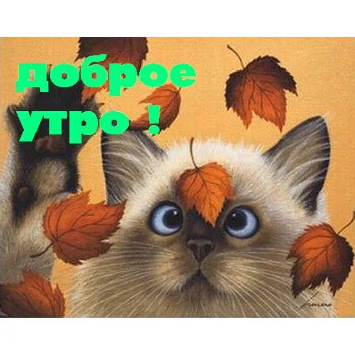 С добрым, осенним утром! Открытки, Осень, Картинки