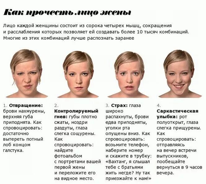 Внешность говорящего. Физиогномика выражение лица. Типичные выражения лица. Описание выражения лица. Черты лица эмоции.