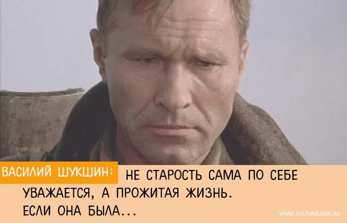 Шукшин билетик. Шукшин высказывания. Портрет Шукшина Василия Макаровича.