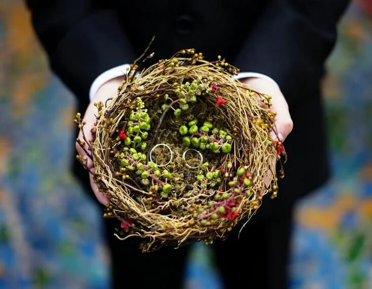 Nest create