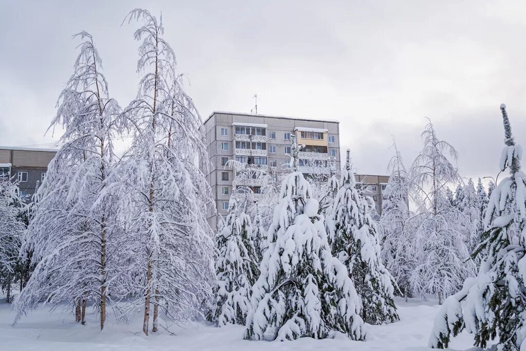 Костомукша это. Костомукша. Республика Карелия Костомукша. Костомукша зима. Костомукша город в Карелии.