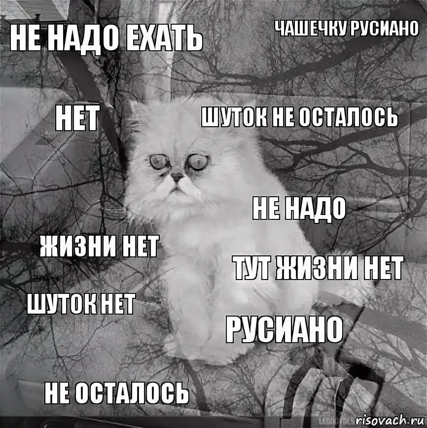 Шуток нет. Шутка про нет. этапы безысходности. ответить на нет шуточные. депрессия математика.