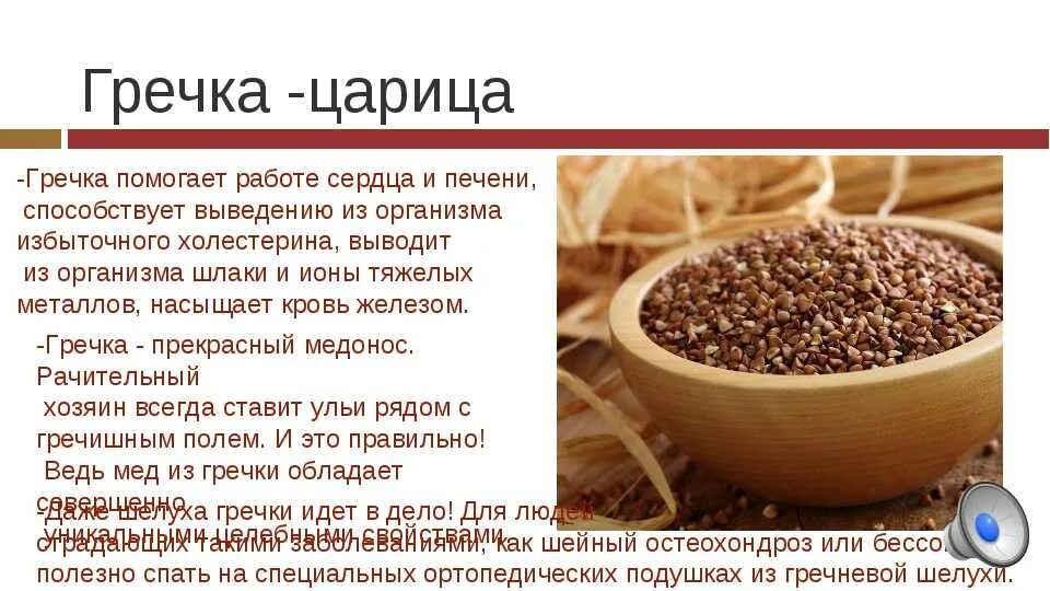 Что значит гречка. Что значит гречка. Информация о гречневой каше. Сообщение о гречке. Крупы из гречихи.