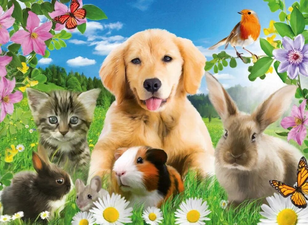 Домашние любимцы. Наши домашние любимцы. Мои любимые питомцы. Собачки и кошечки. Зоомагазин животные.