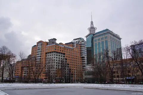 Москва цао хамовники
