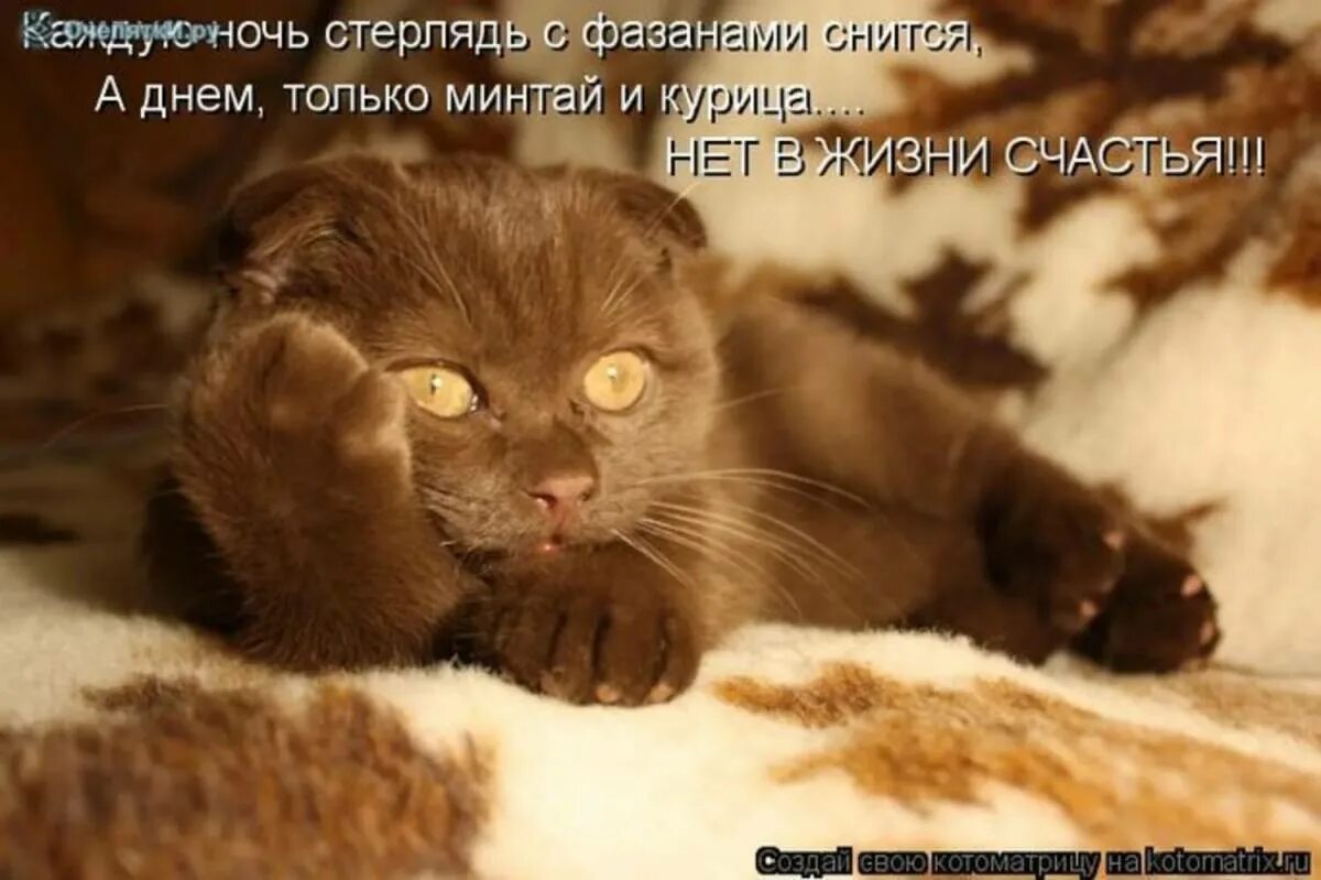 Поставь какие нибудь другие