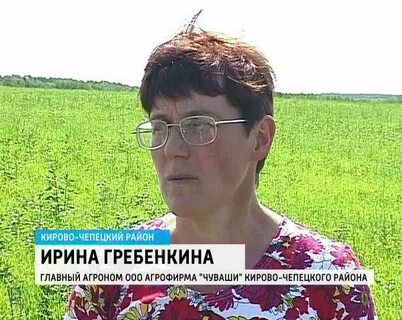 Погода в кирове чепецком районе