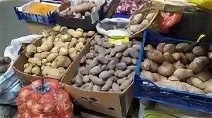 Овощи оптом ростов на дону