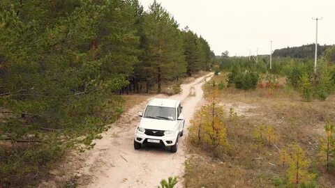 Шагая по лесу опытный