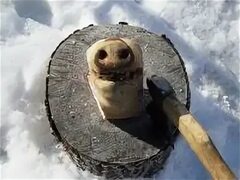 В ульяновских школах ввели должность заместителя директора по безопасности после инцидента в Казани Улпресса - все новости Ульян