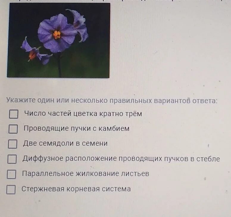 Из предложенного списка выберите такое растение. На каком рисунке изображён признак характерный для класса двудольные. Особенности характерные для изображенного на рисунке представителя. Таблица двудольные растения 6 класс.