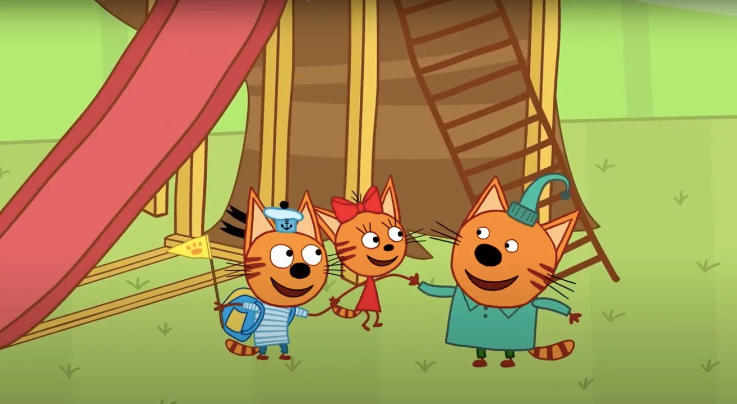 3 кота момо. Три кота 149 серия стс. мусти мультсериал три кота. три кота 2015. три кота мультфильм стс.