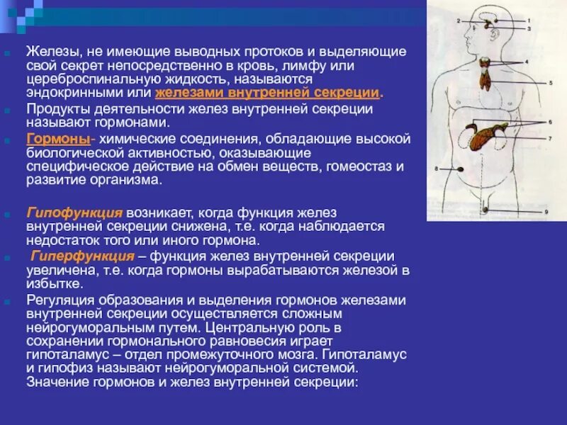 Для внутренних желез характерно. Гормоны желёз внутренней секреции. эндокринная система и гормональная регуляция функция. железы внутренней секреции выводных протоков. железы внутренней секреции выделяют.