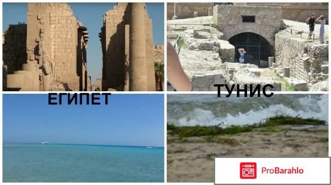 Тунис или египет. Тунис и турция. Турция египет тунис. Тунис коллаж. Тунис коллаж.