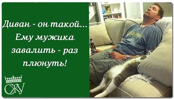 День любимого дивана