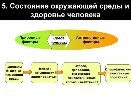 Презентация среда окружающая человека