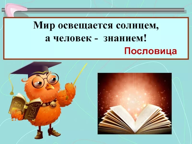 Поговорки на тему знания. Пословицы о знаниях. Афоризмы на тему знания. Мир освещается солнцем а человек знанием.