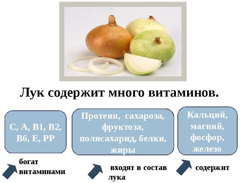 Лук репчатый состав. Вещества содержащиеся в луке. Питательные вещества в луке. Витамины содержащиеся в луке. Полезные вещества в луке репчатом.