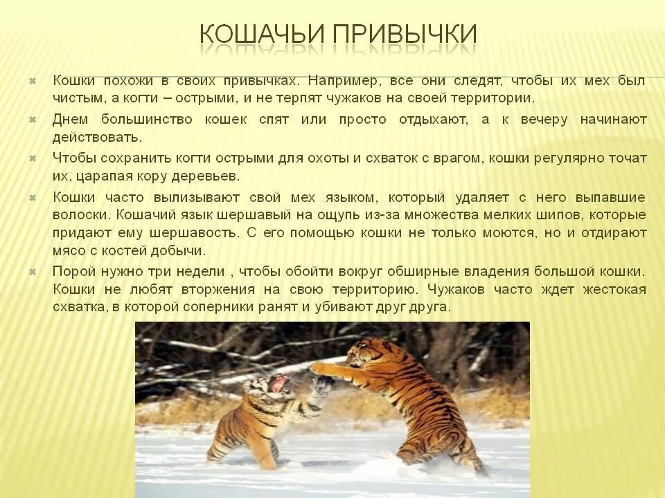 Что такое повадки животных. Кошачьи привычки. Повадки и привычки кошек. Какие привычки у кошек. Какие бывают привычки у животных.