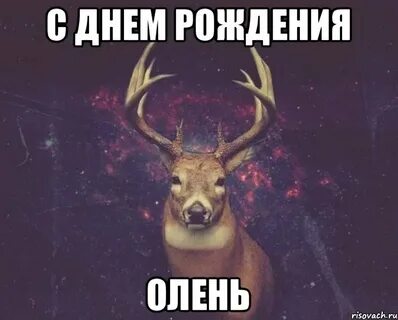 Глупый пошло