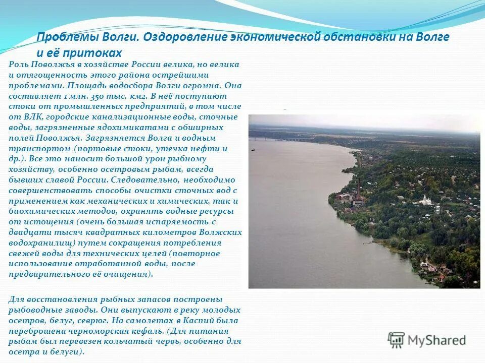 проблемы волги.