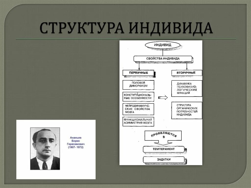 Определите структуру индивида. Структура понятия «индивид» (по б. г. ананьеву). структура индивида схема. первичные и вторичные свойства индивида. структура индивида в психологии.