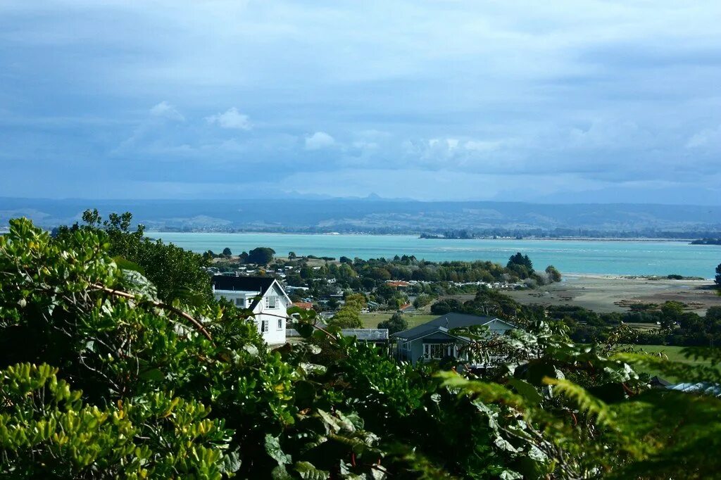 Где нельсон. Тимару новая зеландия. Нельсон город в новой зеландии. Нельсон город. Нельсон город в новой.