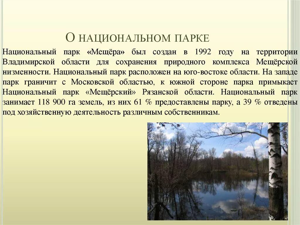 Заповедник во владимирской области. Мещерский заповедник Владимирская область. Мещерский заповедник в Рязанской области проект. Заказник Мещера Владимирской области. Рассказ национальный парк Мещера Владимирская область.