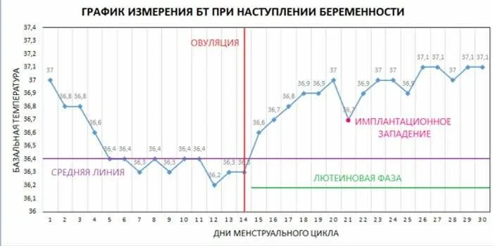 Опасна ли температура при беременности. График базальной температуры при беременности. график базальной температуры норма при беременности. график базальной температуры при беременности до задержки. базальные графики при беременности.