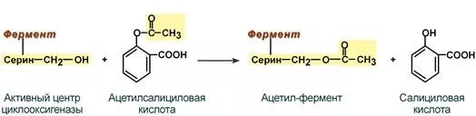 Ингибирование циклооксигеназы ацетилсалициловой кислотой. Механизм действия ацетилсалициловой кислоты биохимия. Механизм ингибирования аспирина. Ацетилсалициловая кислота механизм действия. Механизм действия аспирина