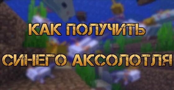 Как заспавнить синего аксолотля командой. Синий аксолотль майнкрафт команда. команда призыва голубого аксолотля в майнкрафт. команда для призыва синего аксолотля в майнкрафт. команда на голубого аксолотля.