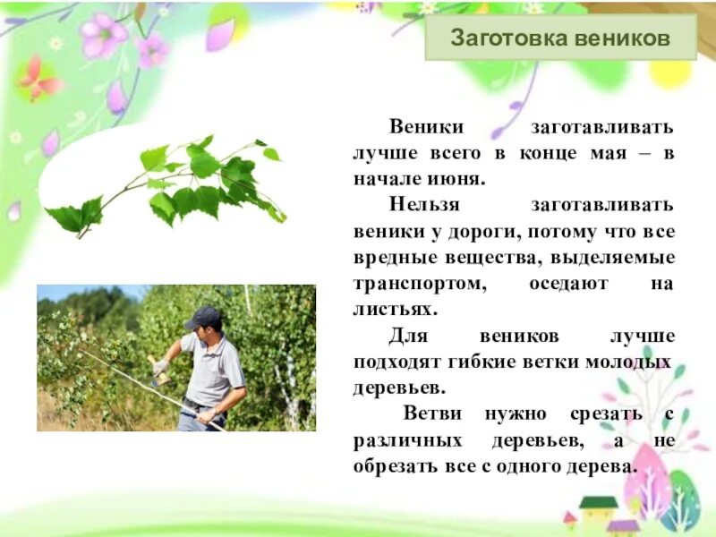 Веник-метла сорго. Притча про веник и прутья текст. Сочинение описание про веник. Кпк называли вентк в 19 веке. Притча про веник и прутья.
