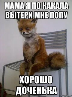 Я покакала